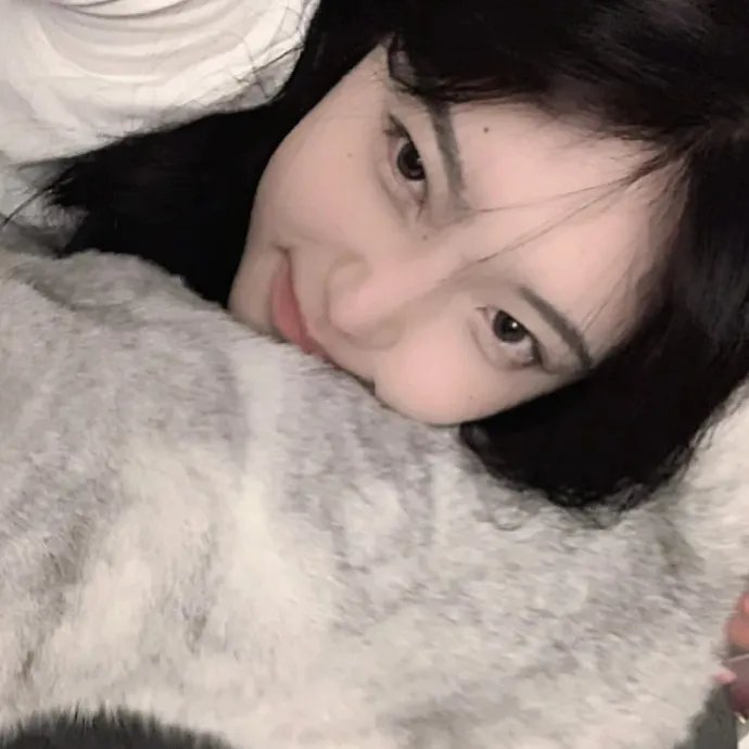 救援狗